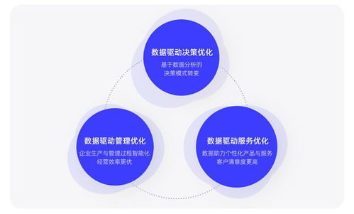 浙大管院與阿里媽媽聯合報告 2023品牌經營增長新機遇解析