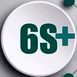 6S管理鑄就卓越品牌，中醫(yī)護(hù)理守護(hù)全民健康——現(xiàn)代醫(yī)院品牌管理的雙輪驅(qū)動